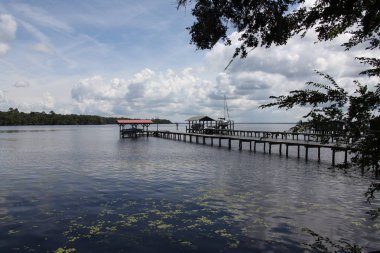 Florida St. Johns Nehri