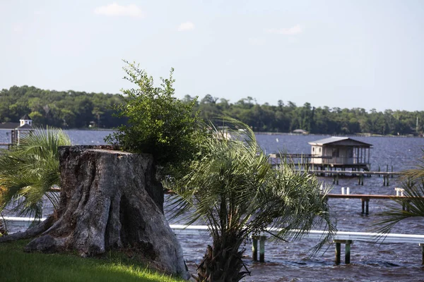 Florida St. Johns Nehri