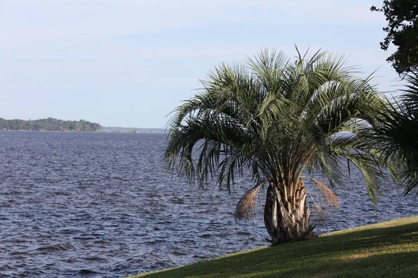 Florida Johns Nehri — Stok fotoğraf