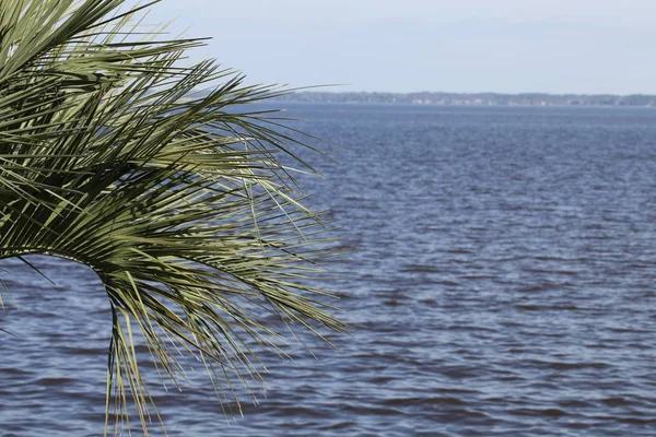 Johns River Florida — Stockfoto