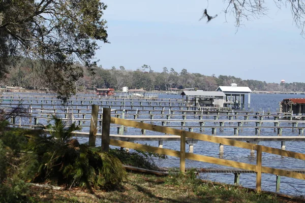 Johns River Florida — Stockfoto