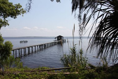 Henry Holland Buckman Bridge St Johns Nehri Jacksonville Florida görünümünü