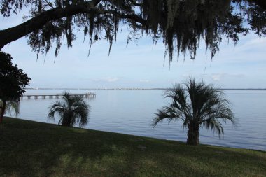 Henry Holland Buckman Bridge St Johns Nehri Jacksonville Florida görünümünü