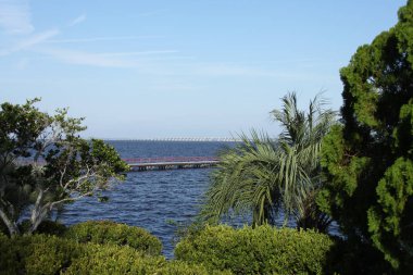 Henry Holland Buckman Bridge St Johns Nehri Jacksonville Florida görünümünü
