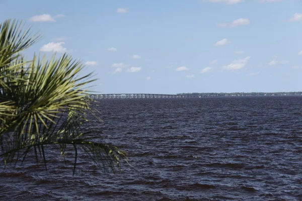 Widok Henry Holland Buckman Bridge Nad Rzeką Johns Jacksonville Stanie — Zdjęcie stockowe