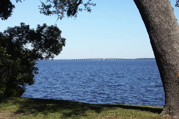 Henry Holland Buckman Bridge Johns Nehri Jacksonville Florida Görünümünü — Stok fotoğraf