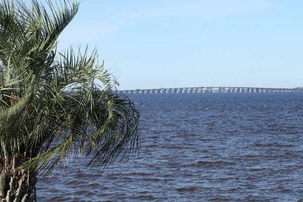 Widok Henry Holland Buckman Bridge Nad Rzeką Johns Jacksonville Stanie — Zdjęcie stockowe