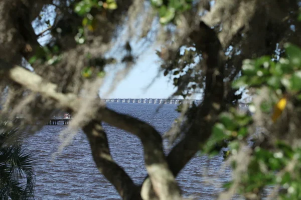 Henry Holland Kent Híd Johns Folyón Floridai Jacksonville Megtekintése — Stock Fotó