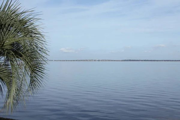 Pohled Henry Holland Buckman Mostu Přes Řeku Johns Jacksonville Florida — Stock fotografie