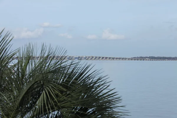 Widok Henry Holland Buckman Bridge Nad Rzeką Johns Jacksonville Stanie — Zdjęcie stockowe