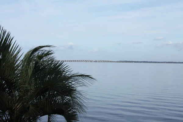Henry Holland Buckman Bridge Johns Nehri Jacksonville Florida Görünümünü — Stok fotoğraf