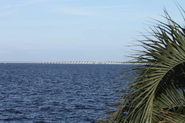 Vista Henry Holland Buckman Bridge Sobre Johns River Jacksonville Florida — Fotografia de Stock