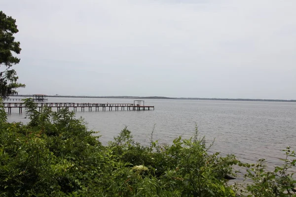 Widok Henry Holland Buckman Bridge Nad Rzeką Johns Jacksonville Stanie — Zdjęcie stockowe