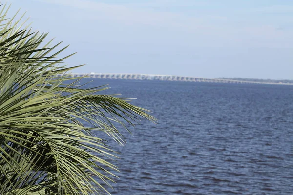 Vista Del Puente Henry Holland Buckman Sobre Río Johns Jacksonville — Foto de Stock