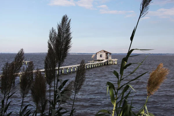 Henry Holland Buckman Bridge St Johns Nehri Jacksonville Florida görünümünü