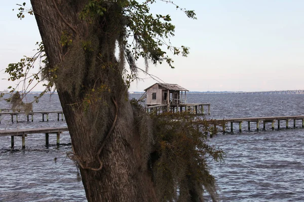 Henry Holland Kent Híd Johns Folyón Floridai Jacksonville Megtekintése — Stock Fotó