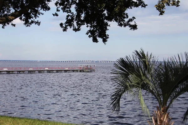 Henry Holland Kent Híd Johns Folyón Floridai Jacksonville Megtekintése — Stock Fotó