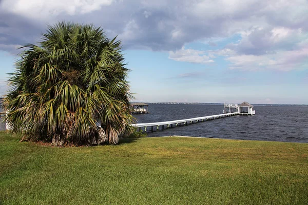 Blick Auf Die Henry Holland Buckman Bridge — Stockfoto