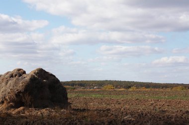 huzurlu Ukraynalı kırlarda güzel görünümü 