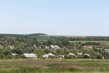 huzurlu Ukraynalı kırlarda güzel görünümü 