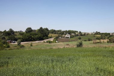 huzurlu Ukraynalı kırlarda güzel görünümü 