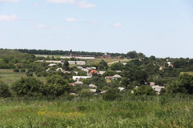 huzurlu Ukraynalı kırlarda güzel görünümü 
