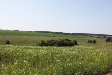 huzurlu Ukraynalı kırlarda güzel görünümü 