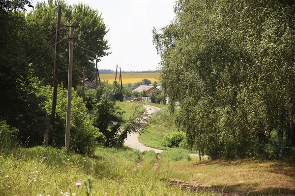 Красивый Вид Мирную Украинскую Сторону — стоковое фото