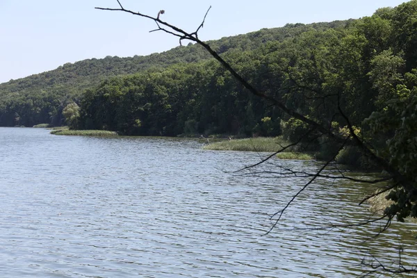 Pechenezhskiy Opslag Waterbassin Oekraïne Charkov Regio — Stockfoto