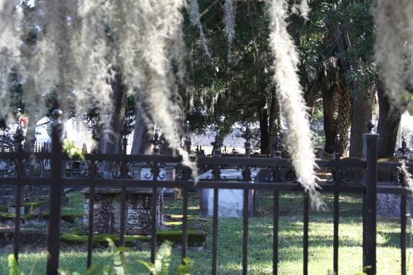 Gammel Huguenot Kirkegård Augustine Florida Usa - Stock-foto