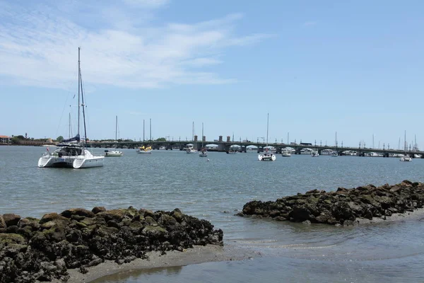 Pont Des Lions Augustine Floride — Photo