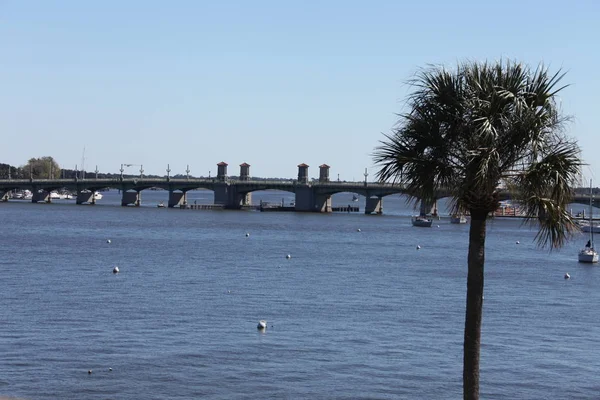 Bridge Augustine Florida Aslan — Stok fotoğraf