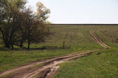 dirt road in a countryside