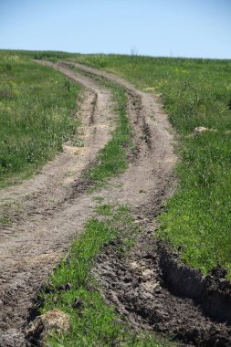 dirt road in a countryside
