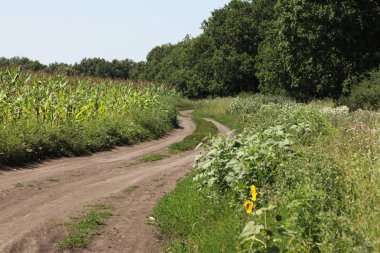 dirt road in a countryside