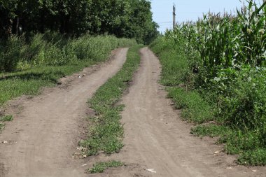 dirt road in a countryside