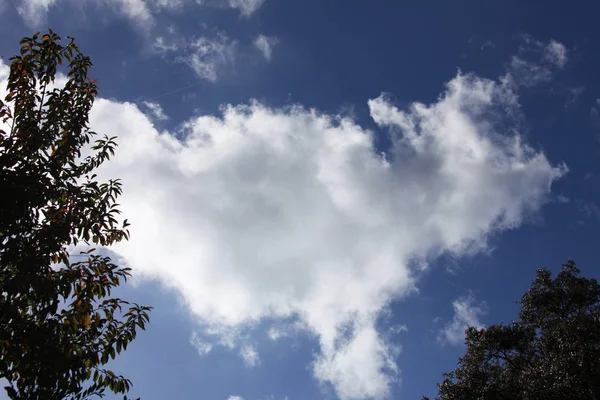 Серые Большие Облака Голубом Небе — стоковое фото
