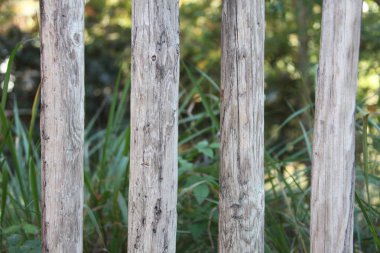 ahşap arka plan görünümünü kapat