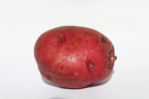 Закрыть Вид Красный Картофель — стоковое фото