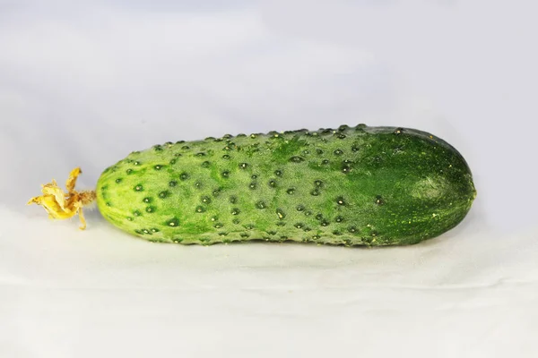 新鲜黄瓜的近景 — 图库照片