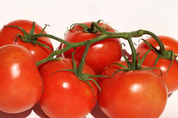 Stäng Visa Mogna Tomater — Stockfoto
