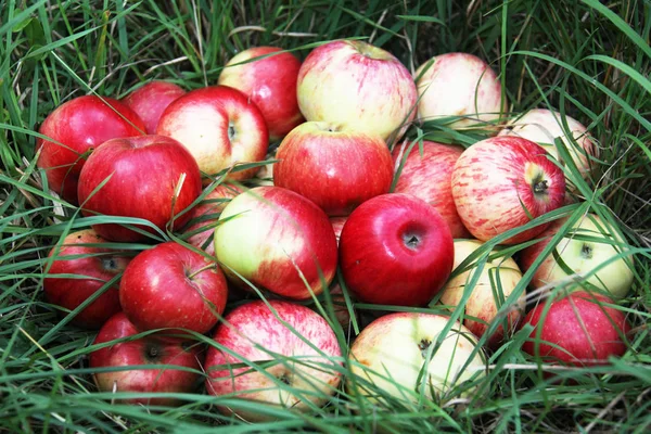 Close View Juicy Apples — Stock Photo, Image