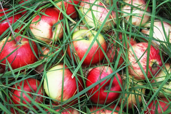 Close View Juicy Apples — Stock Photo, Image