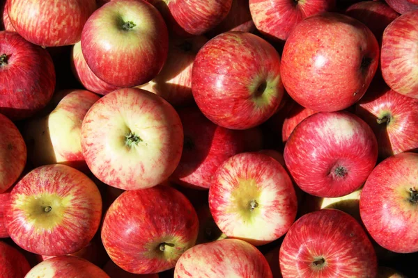 Close View Juicy Apples — Stock Photo, Image