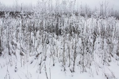 Kış zamanı doğa karla kaplıdır.