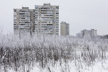 Kış zamanı doğa karla kaplıdır.