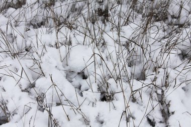 Kış zamanı doğa karla kaplıdır.