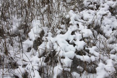 Kış zamanı doğa karla kaplıdır.