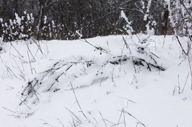 Kış zamanı doğa karla kaplıdır.
