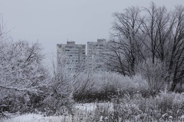 Kış zamanı doğa karla kaplıdır.